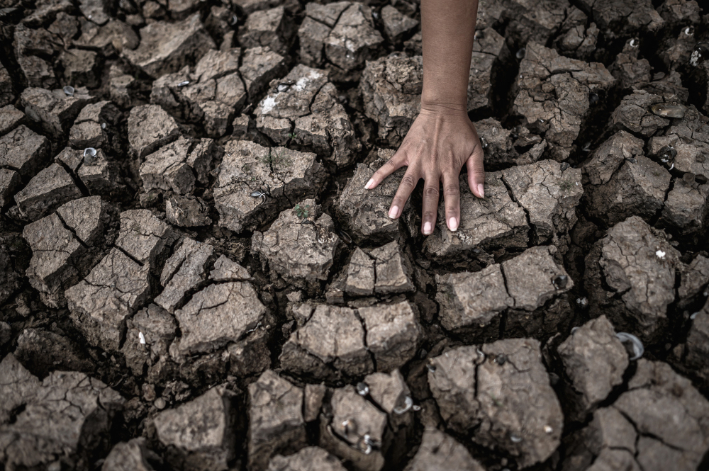 Alterações Climáticas @jcomp