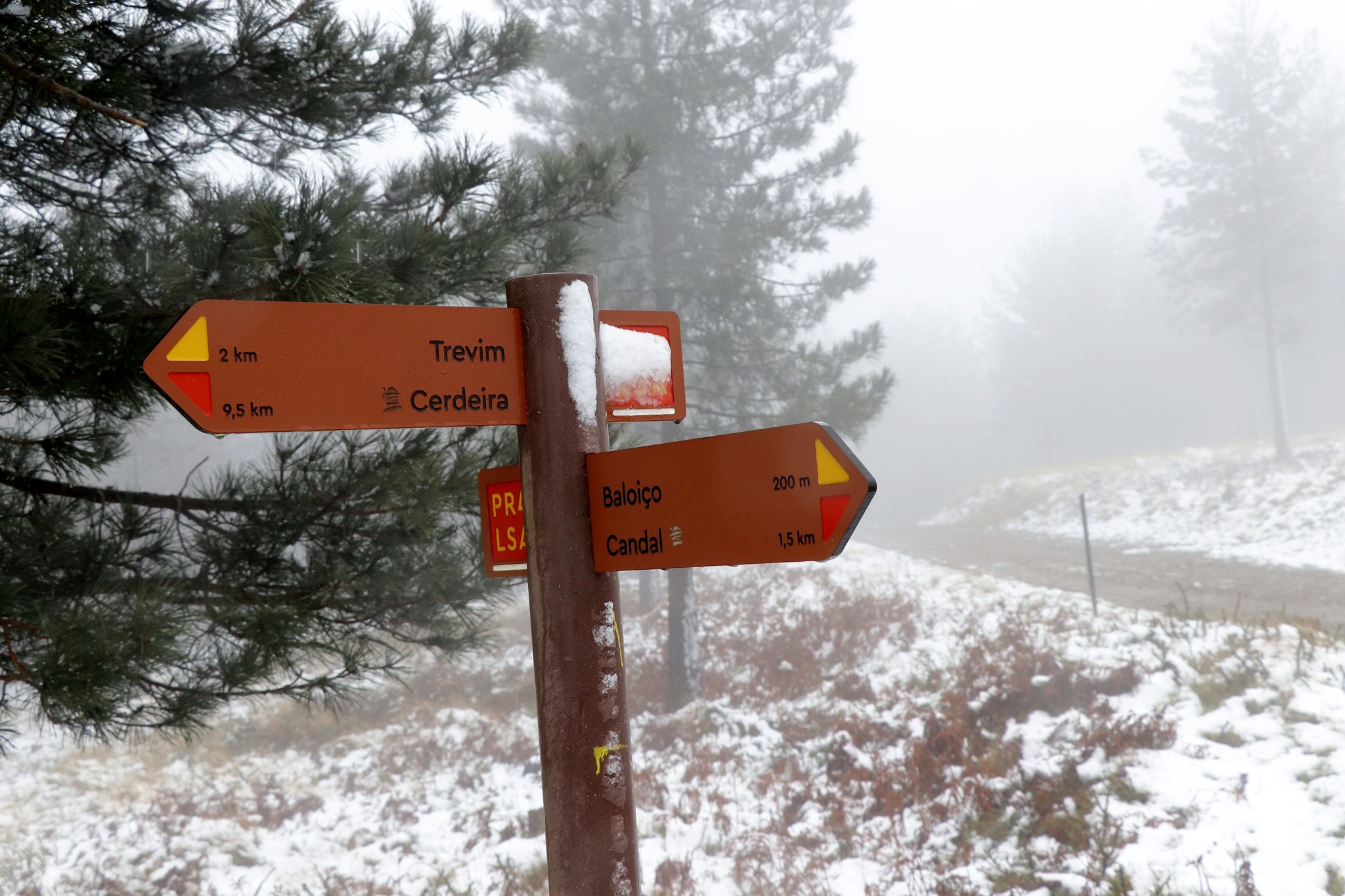 Neve na Serra da Lousã @GM CML
