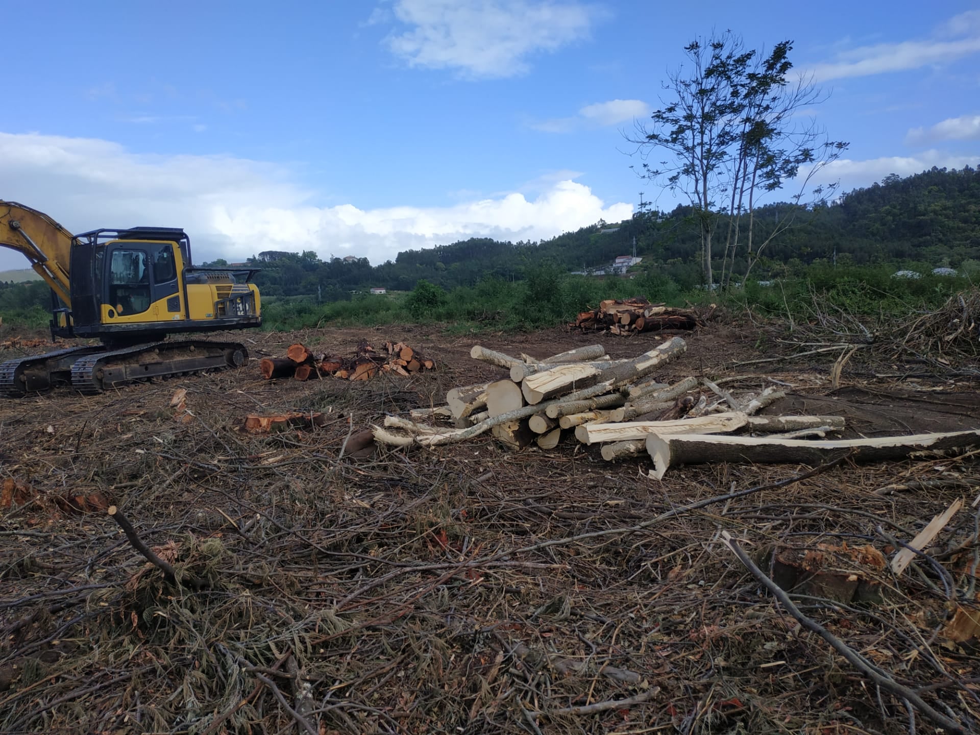 Limpeza entre o Rebolim e a Portela, em 2021 @MondegoVivo