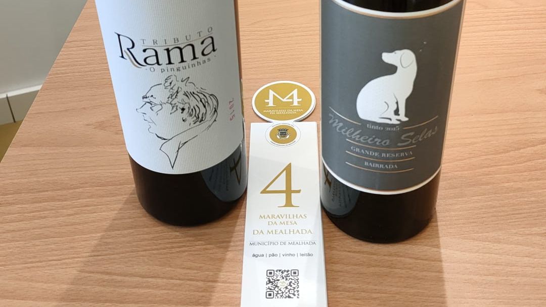 Vinhos da adega rama na Mealhada distinguidos com medalha de ouro @CM Mealhada