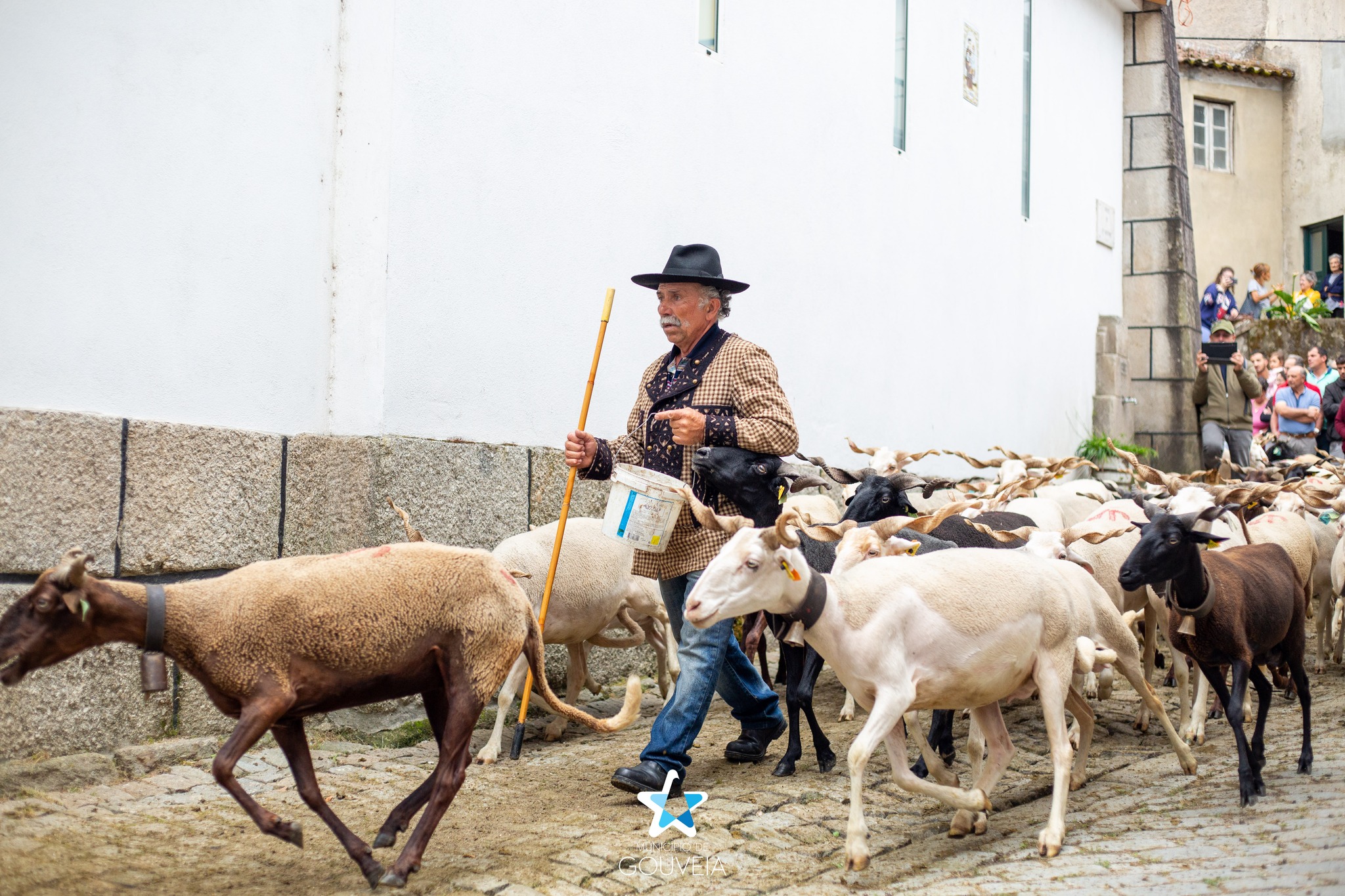 Populares e rebanhos reúnem-se para a tradicional bênção @CM Gouveia
