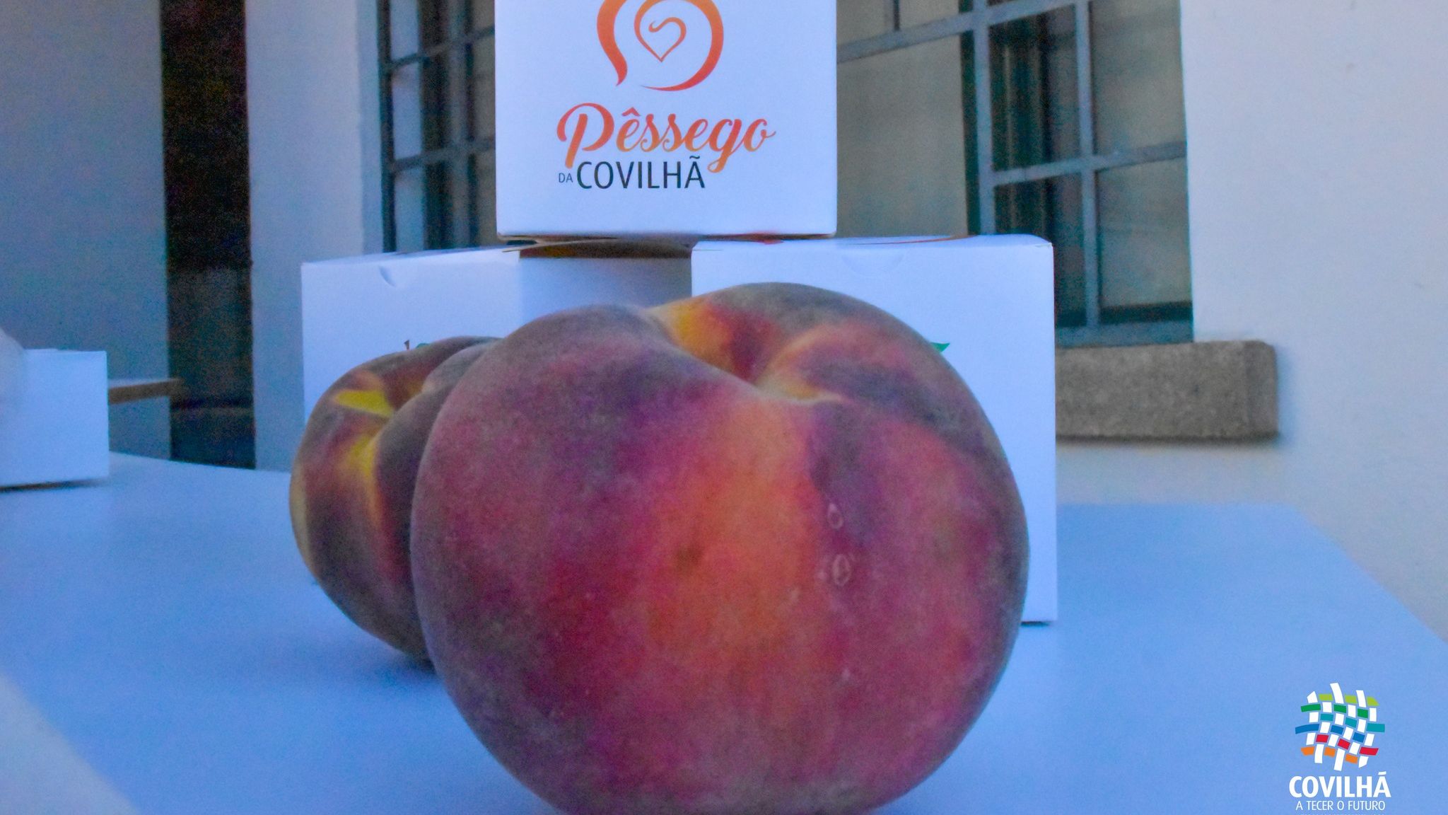 Pêssego da Covilhã @CM Covilhã