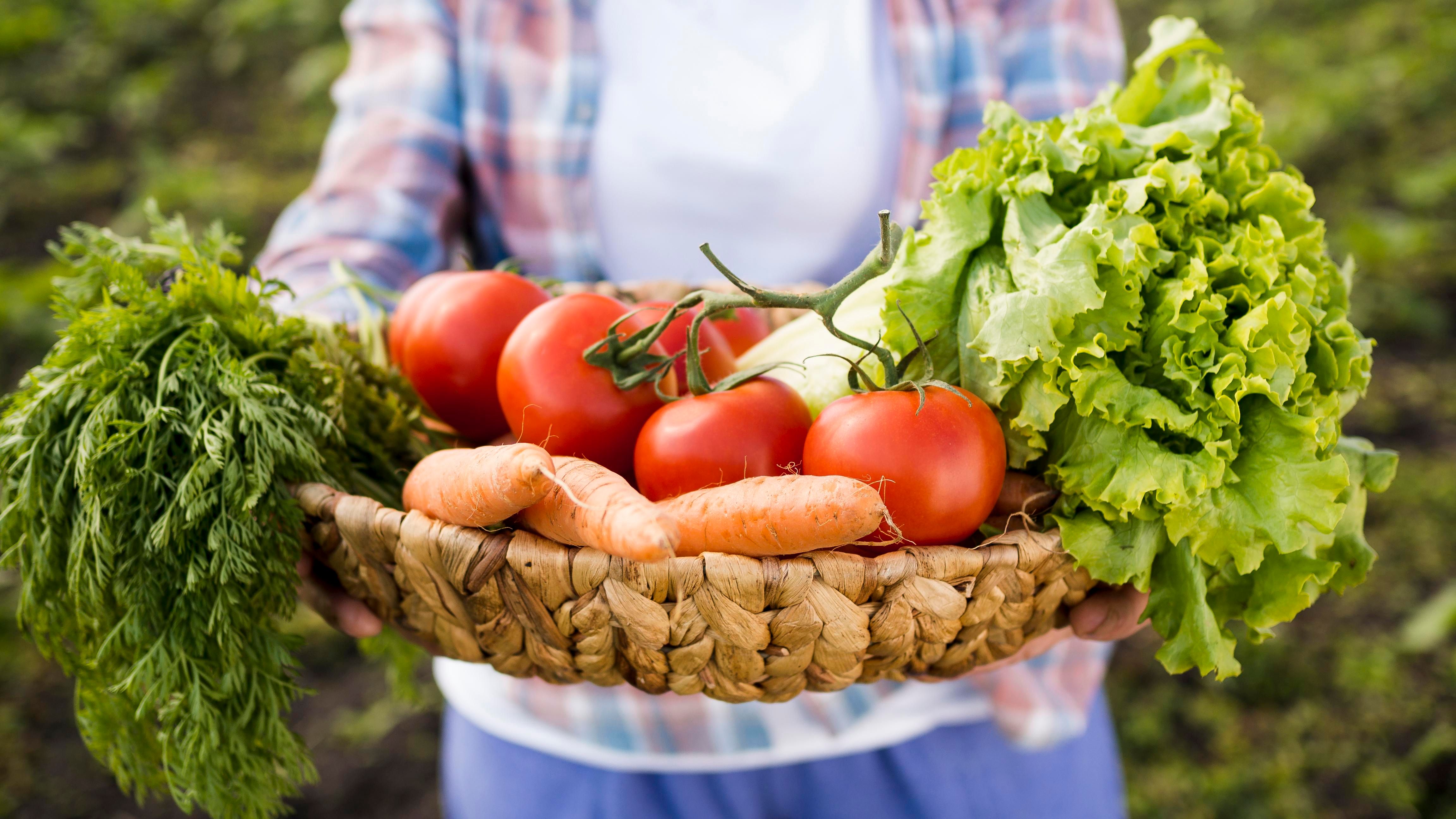 Agricultura @freepik