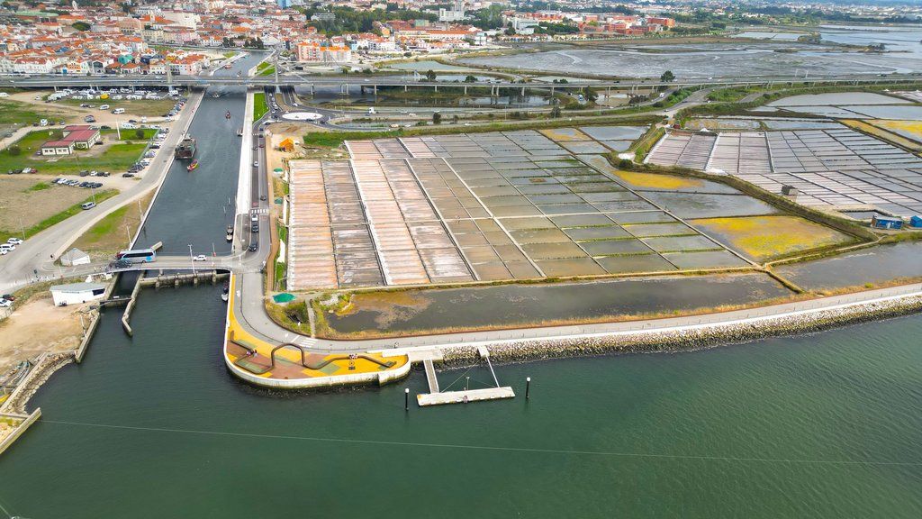 O jornal The Times menciona o “charme particular” que Aveiro partilha com cidades como Veneza ou Amesterdão, pelos seus canais @CM Aveiro