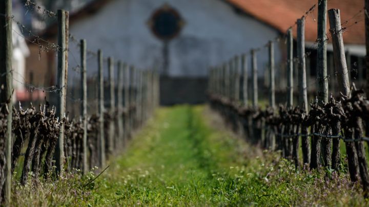 Escola Superior Agrária de Coimbra @ESAC