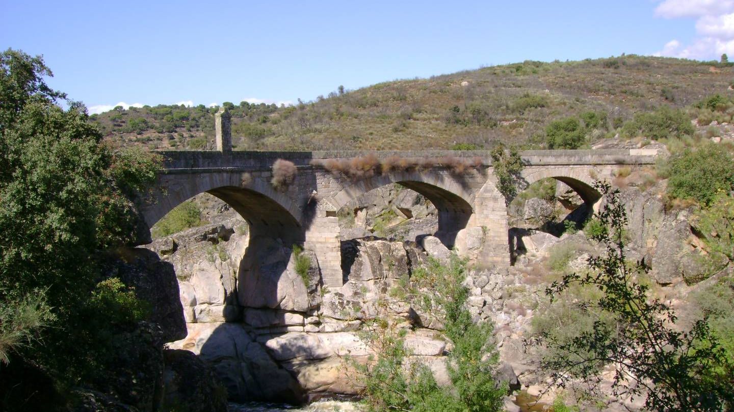 Ponte do Côa @All About Portugal