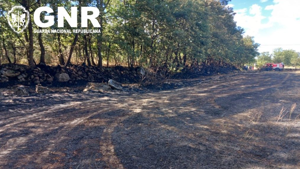 Incêndio Florestal @GNR