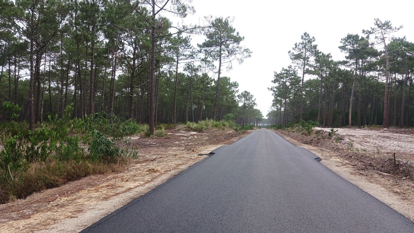 Decorrem os trabalhos de pavimentação da estrada florestal Quiaios – Praia da Tocha @CMFF