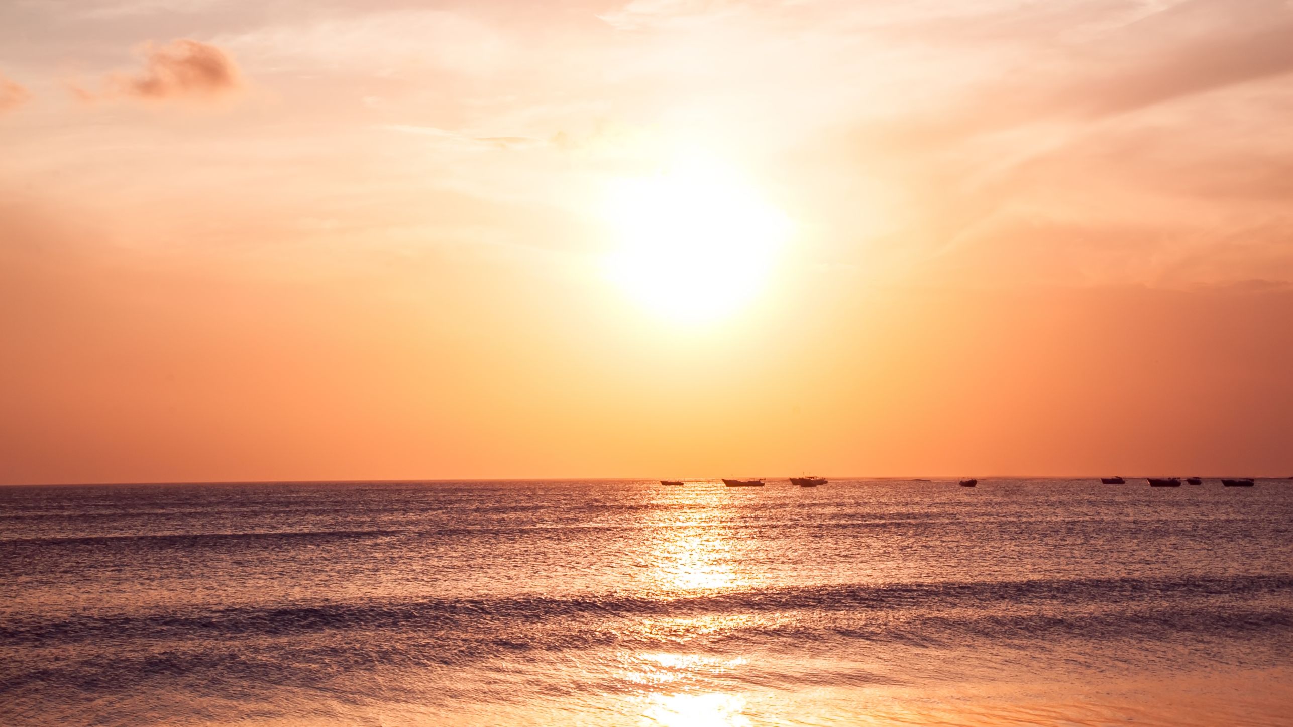 Pôr do sol @halayalex freepik