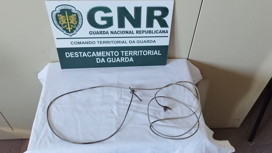 Apreensão da GNR da Guarda @GNR