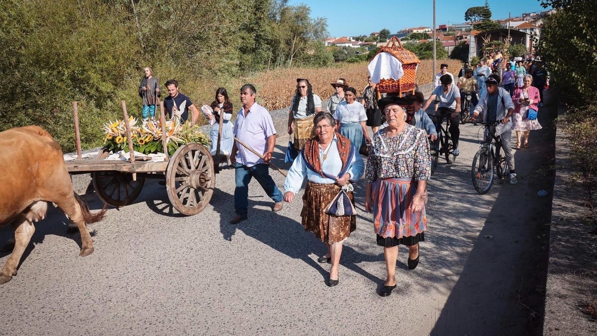 A tradição voltou a acontecer na Festa das Colheitas @
Pedro Ferraz