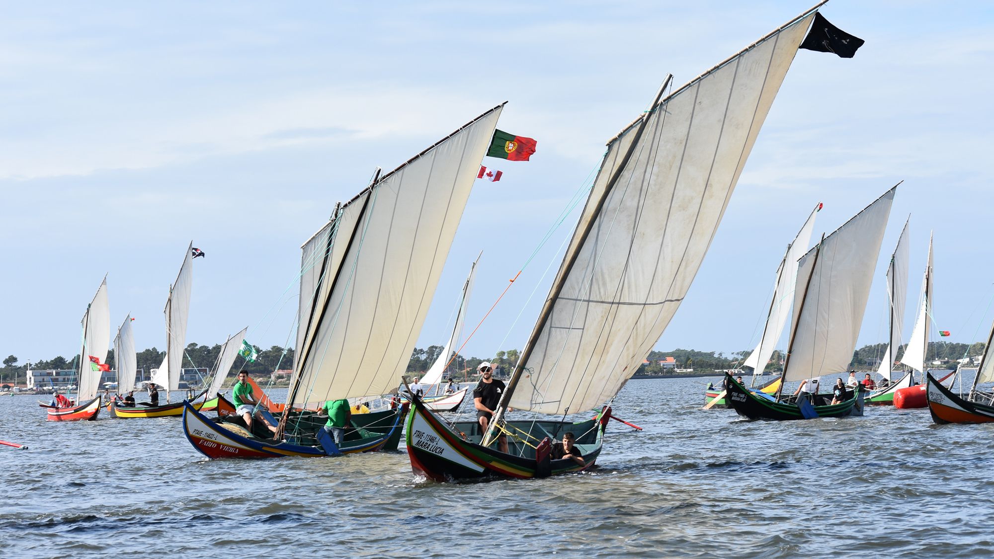 Vencedores da Regata de Bateiras à Vela Romaria São Paio 2024 ©CMM