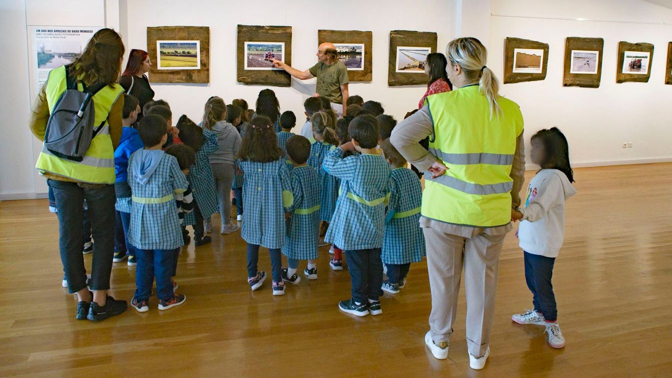 Os arrozais do Baixo Mondego numa exposição a visitar até 24 de novembro @CAE