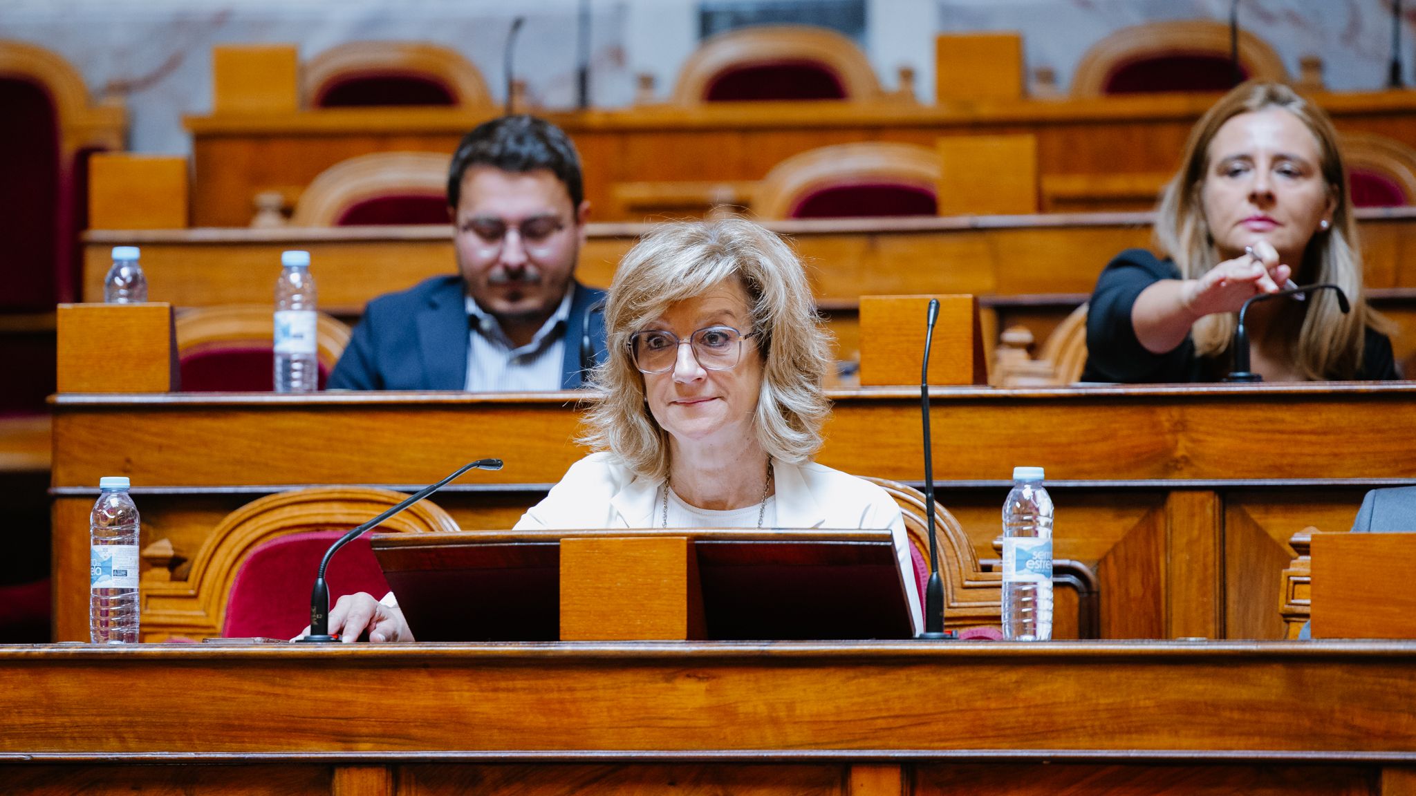 Deputada Paula Cardoso @PSD Aveiro 
