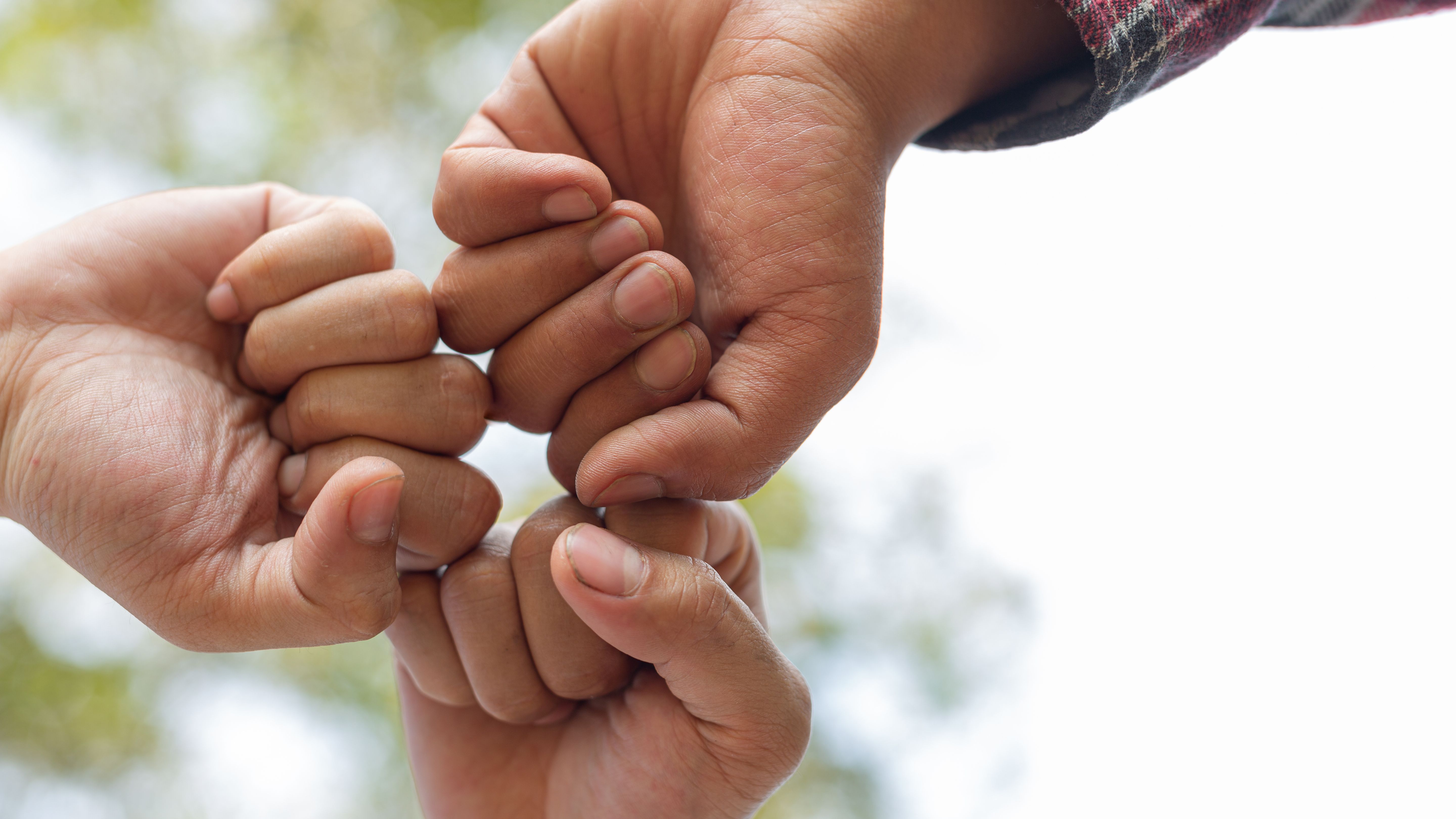 Solidariedade @jcomp