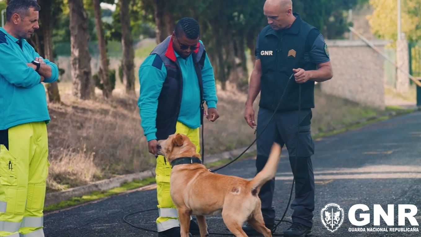 O projeto de prevenção rodoviária capacitou cerca de 90 colaboradores da Ascendi @GNR