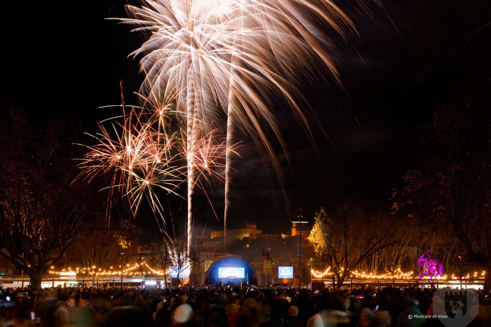 Passagem de ano Viseu ©CMV