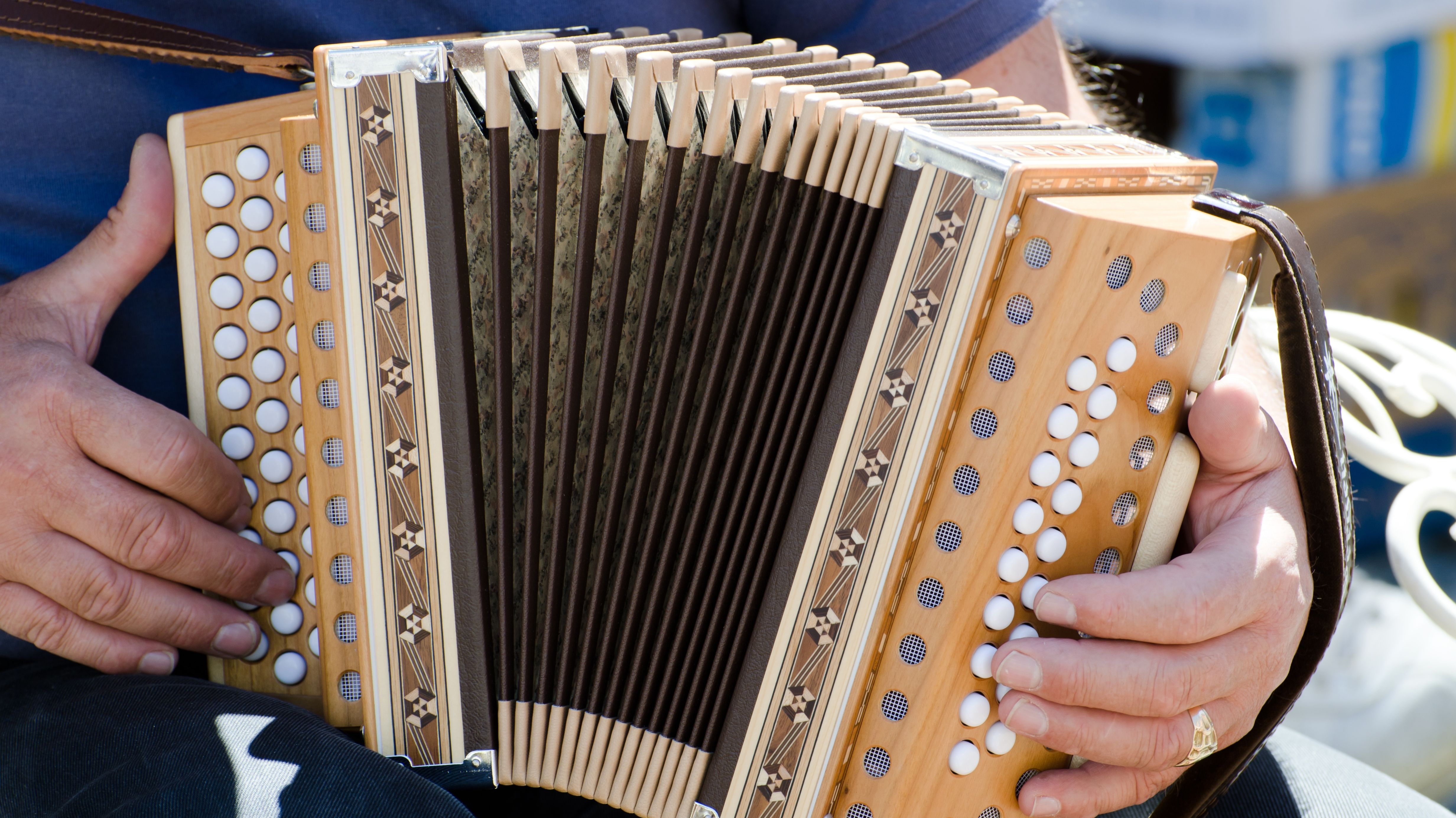 Concertina @wirestock freepik 