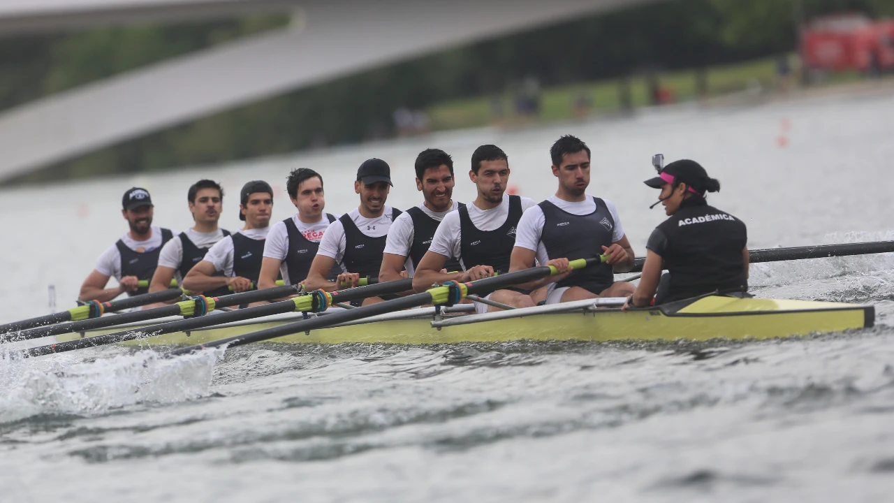 8+ Shell de Oito ©AAC 