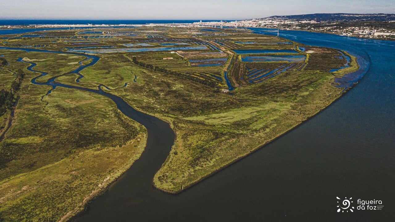 A candidatura permite criar um sistema de avaliação integrada da qualidade da água, dos sedimentos e do seu fluxo @CMFF