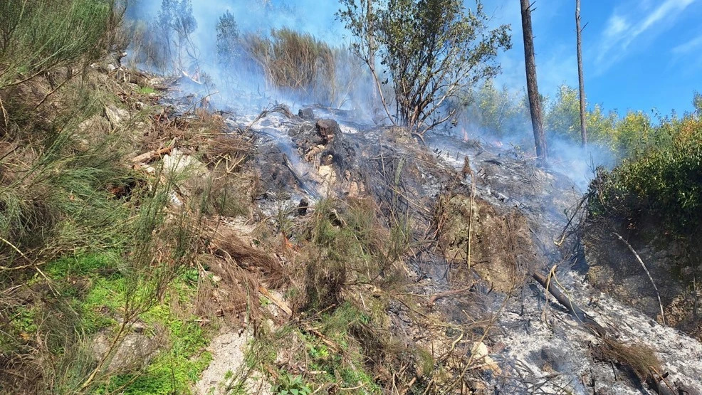 Incêndio florestal @GNR