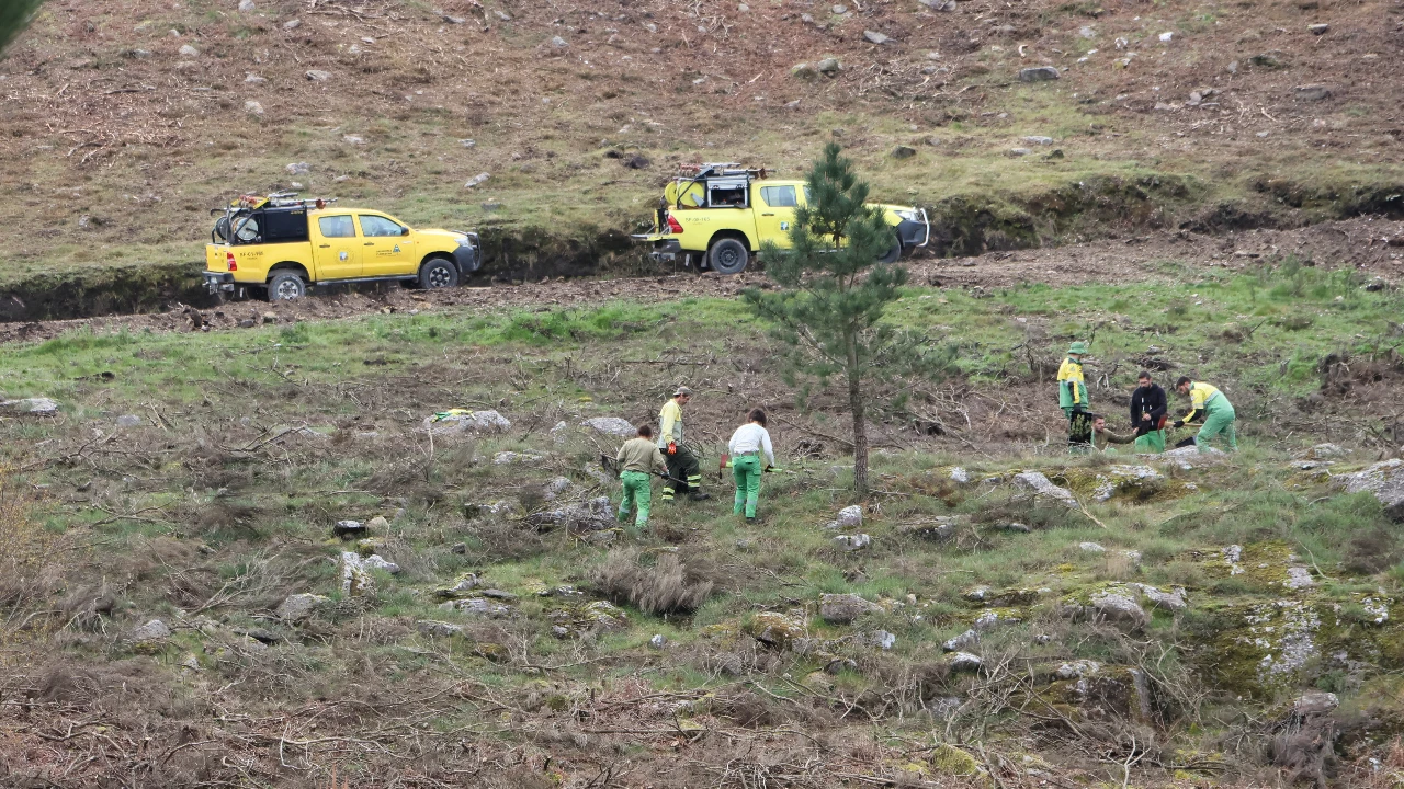 Reflorestação na Serra do Ladário ©CMOF