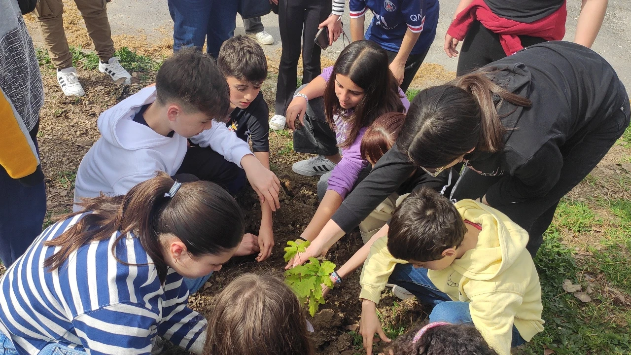 Semana da Floresta @CM Cantanhede 