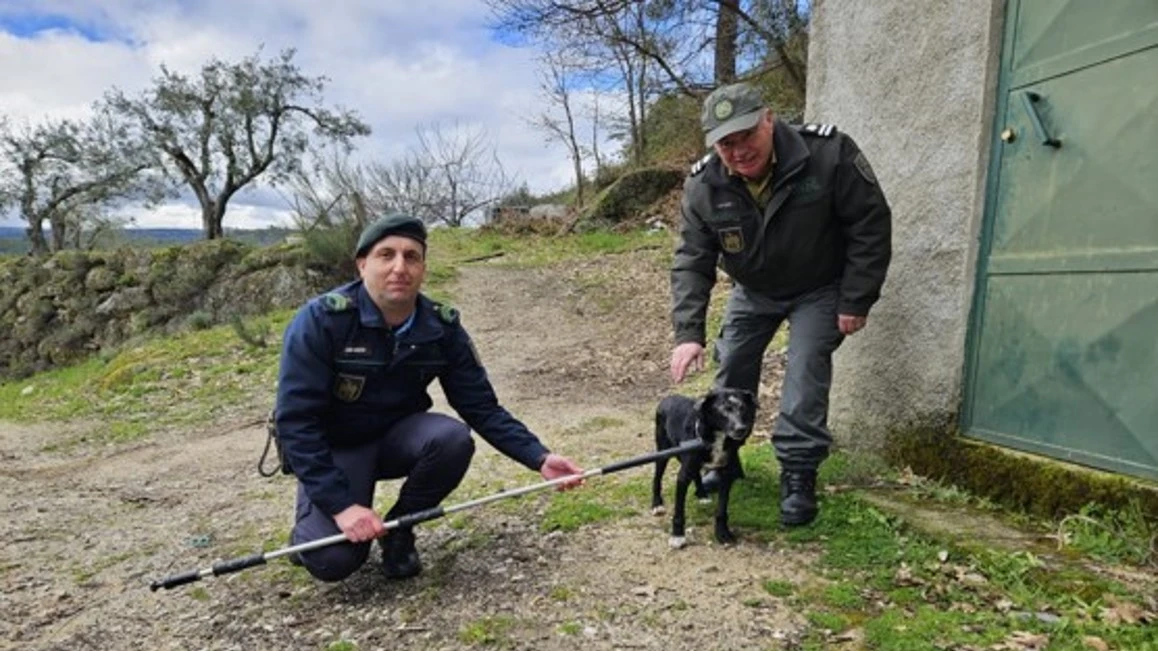Militares resgatam o animal @GNR Guarda 