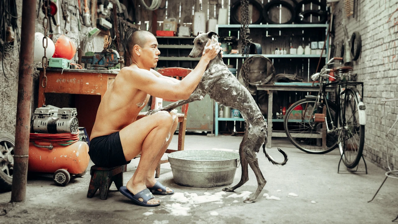 "Cão Preto", de Guan Hu @DR