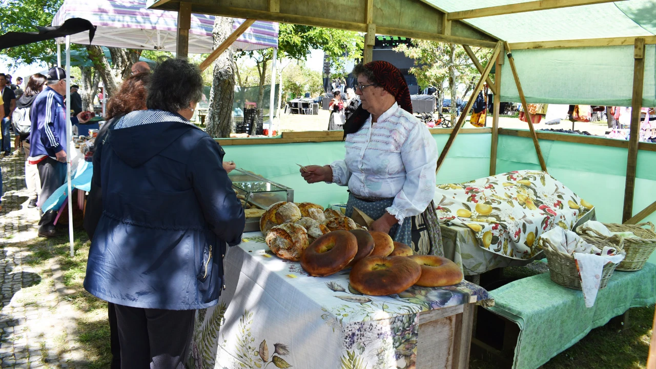 Mercado do Bico Murtosa ©CMM