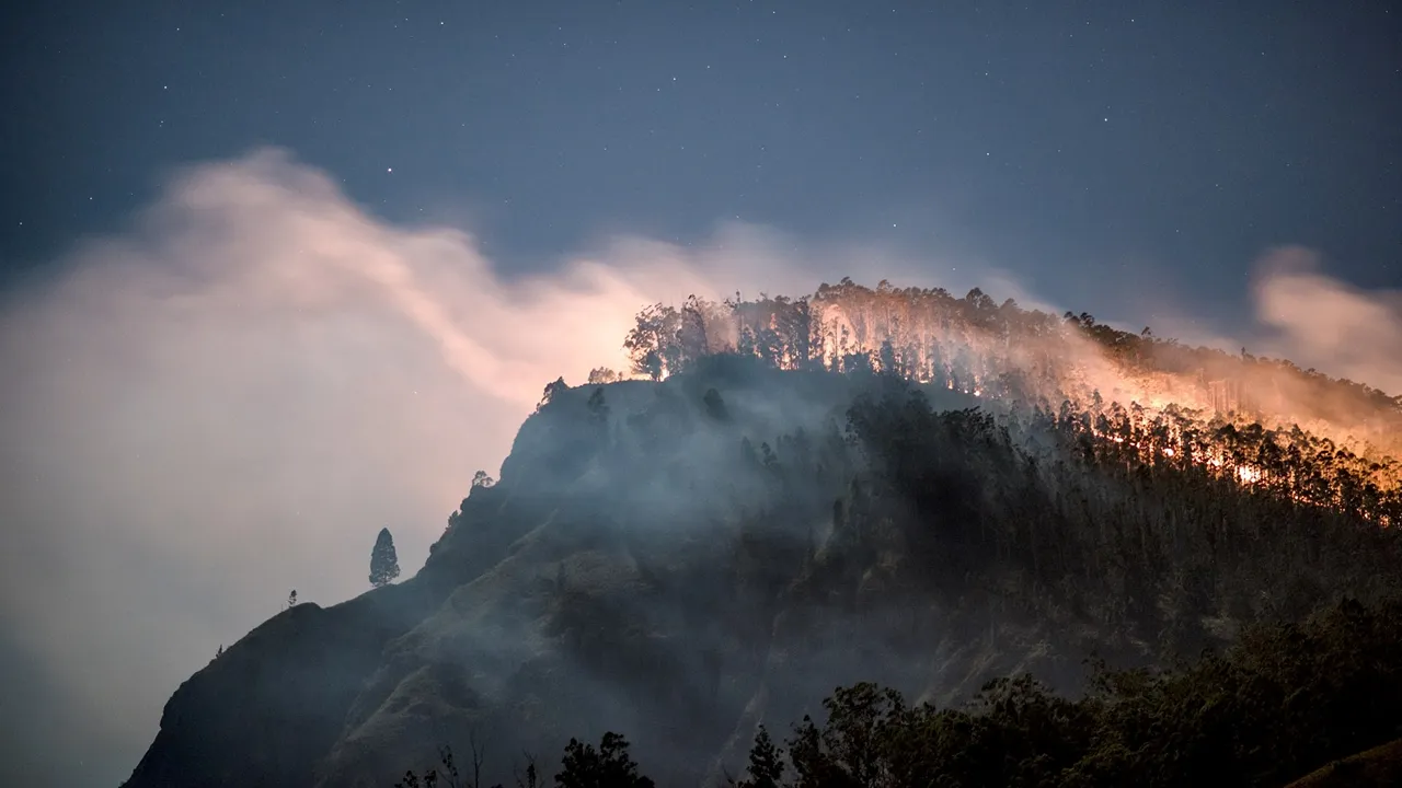 Incêndio Florestal @PJ