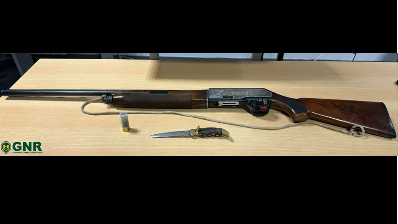 Armas apreendidas ©GNR