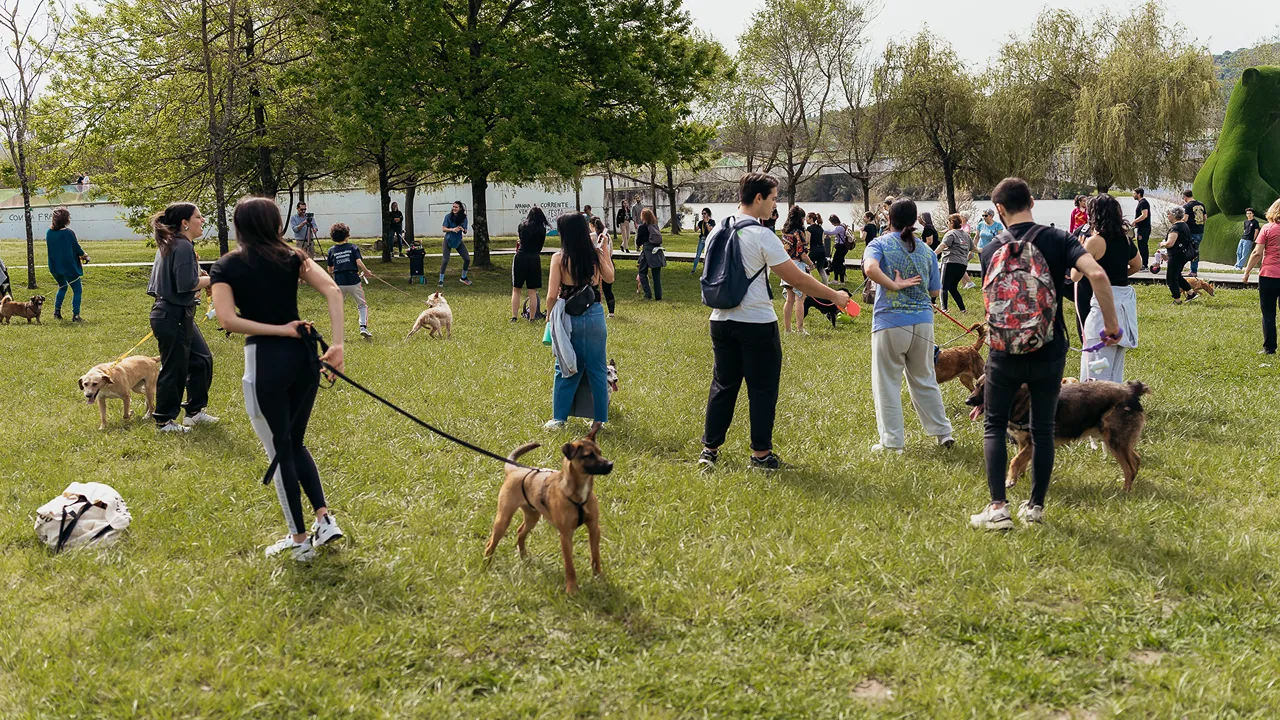 "Fit Cão" @CM Coimbra