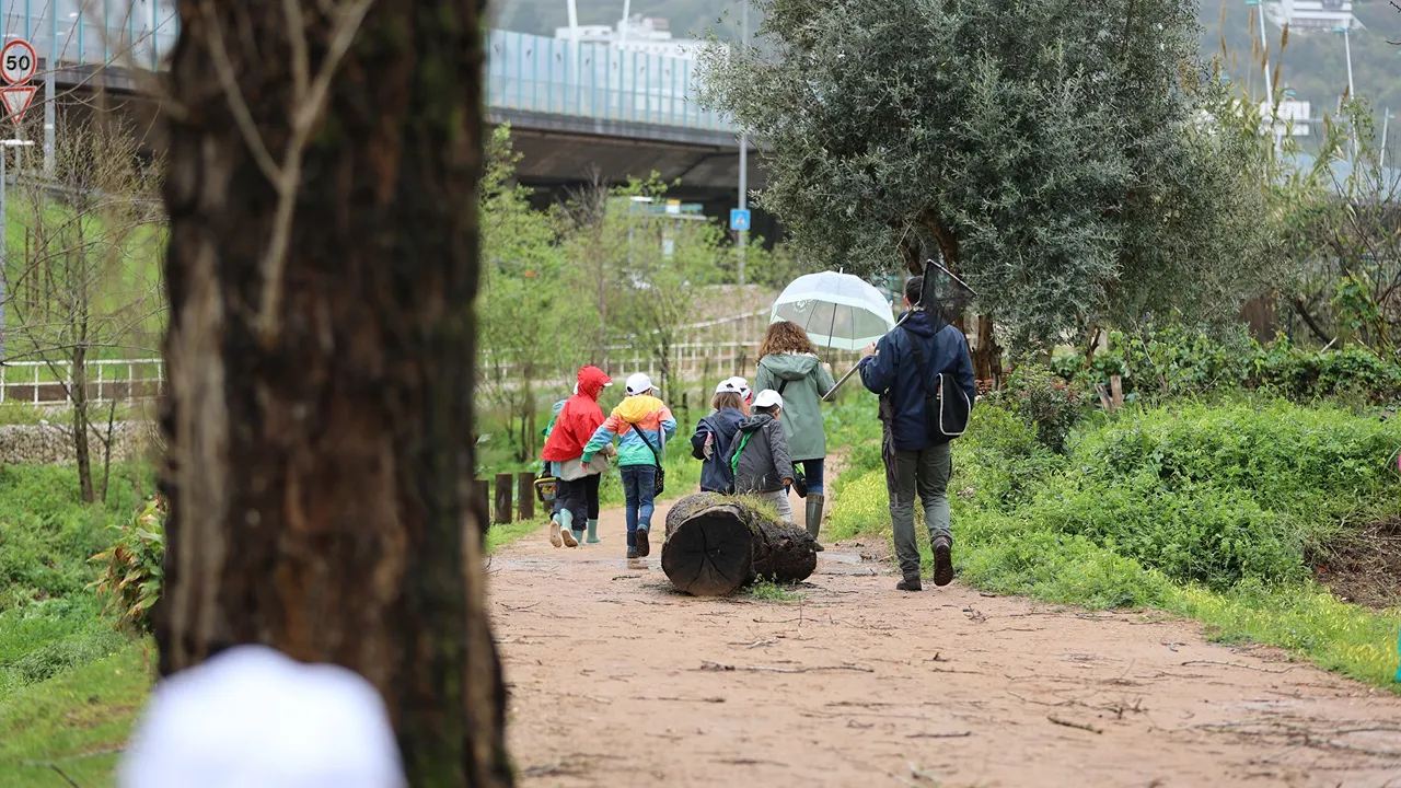 Ribeira do Vale das Flores @Carolina Costa Andrade 