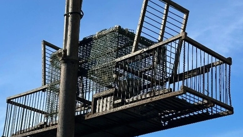 Material apreendido @GNR Porto