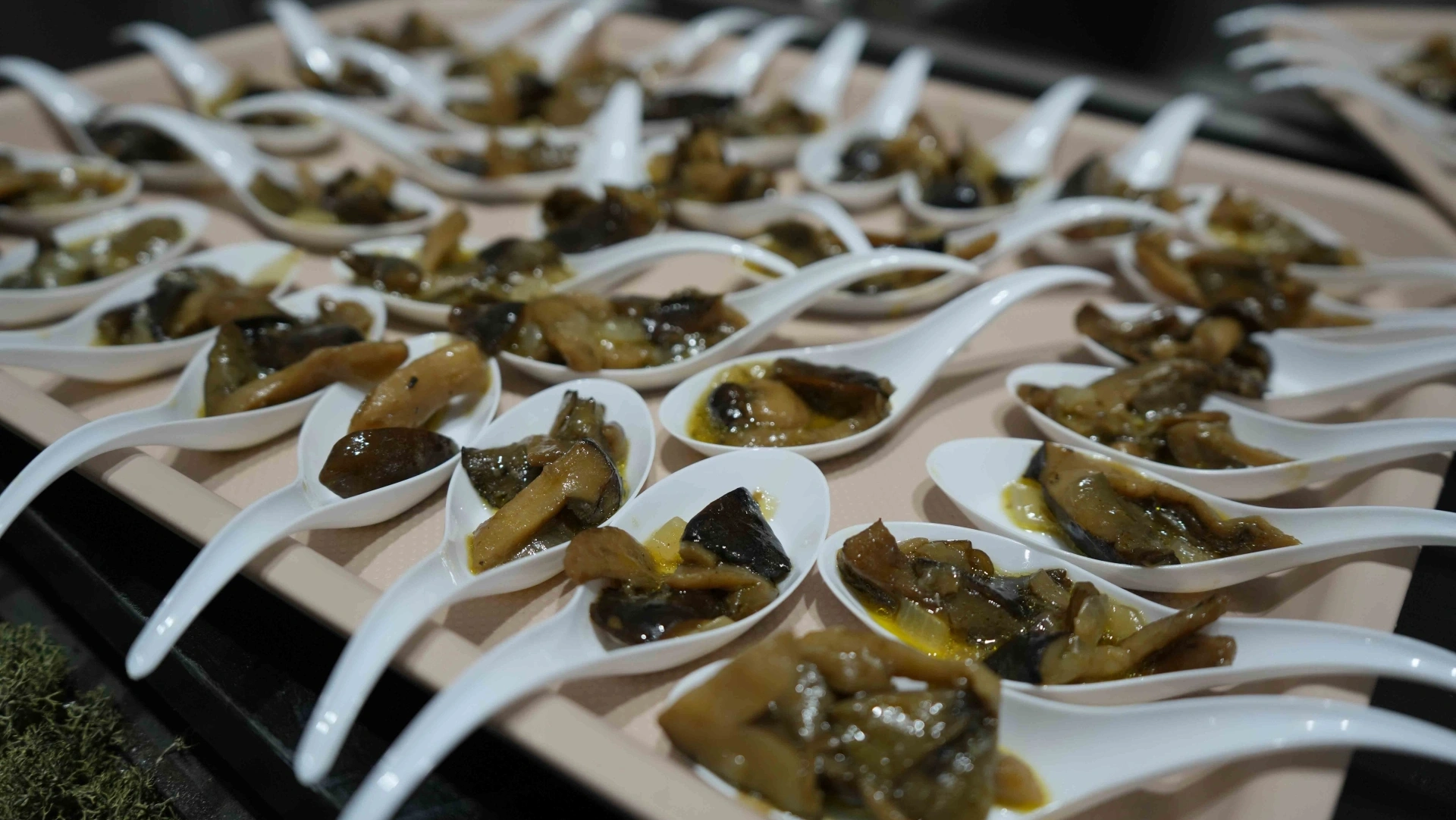 XVIII edição da Feira do Míscaro @CM Sátão