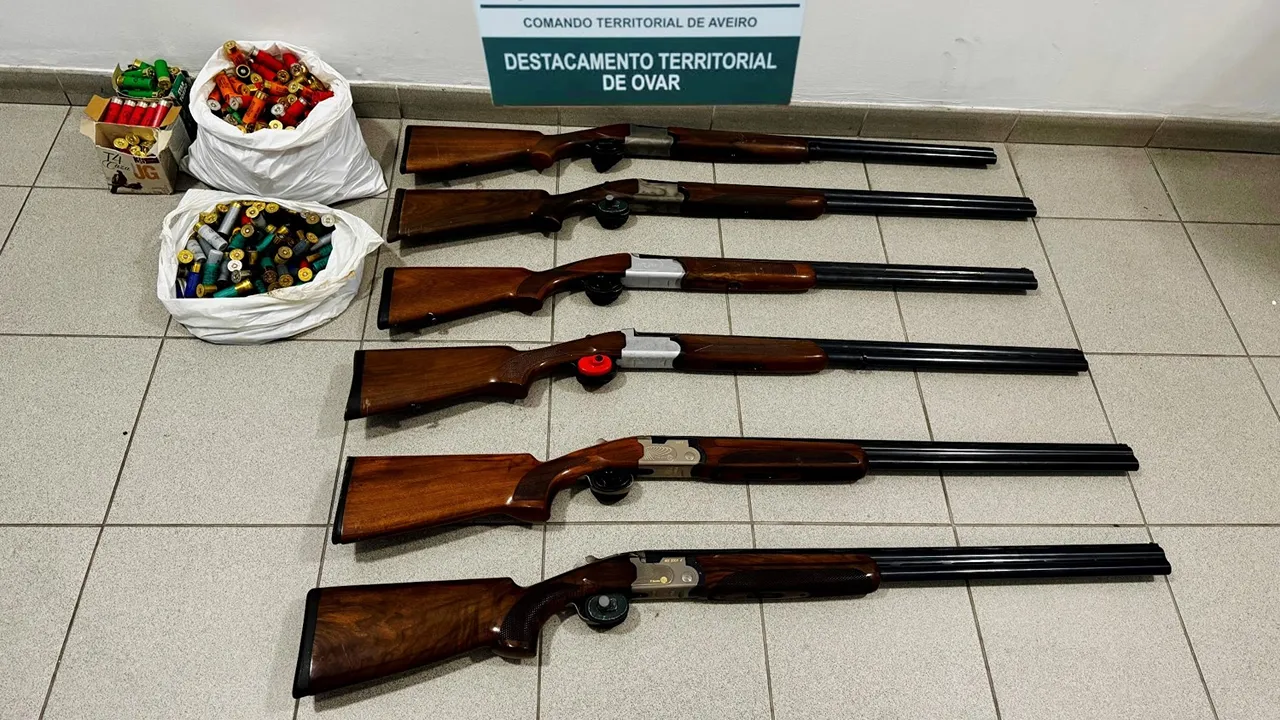 Armas apreendidas @GNR