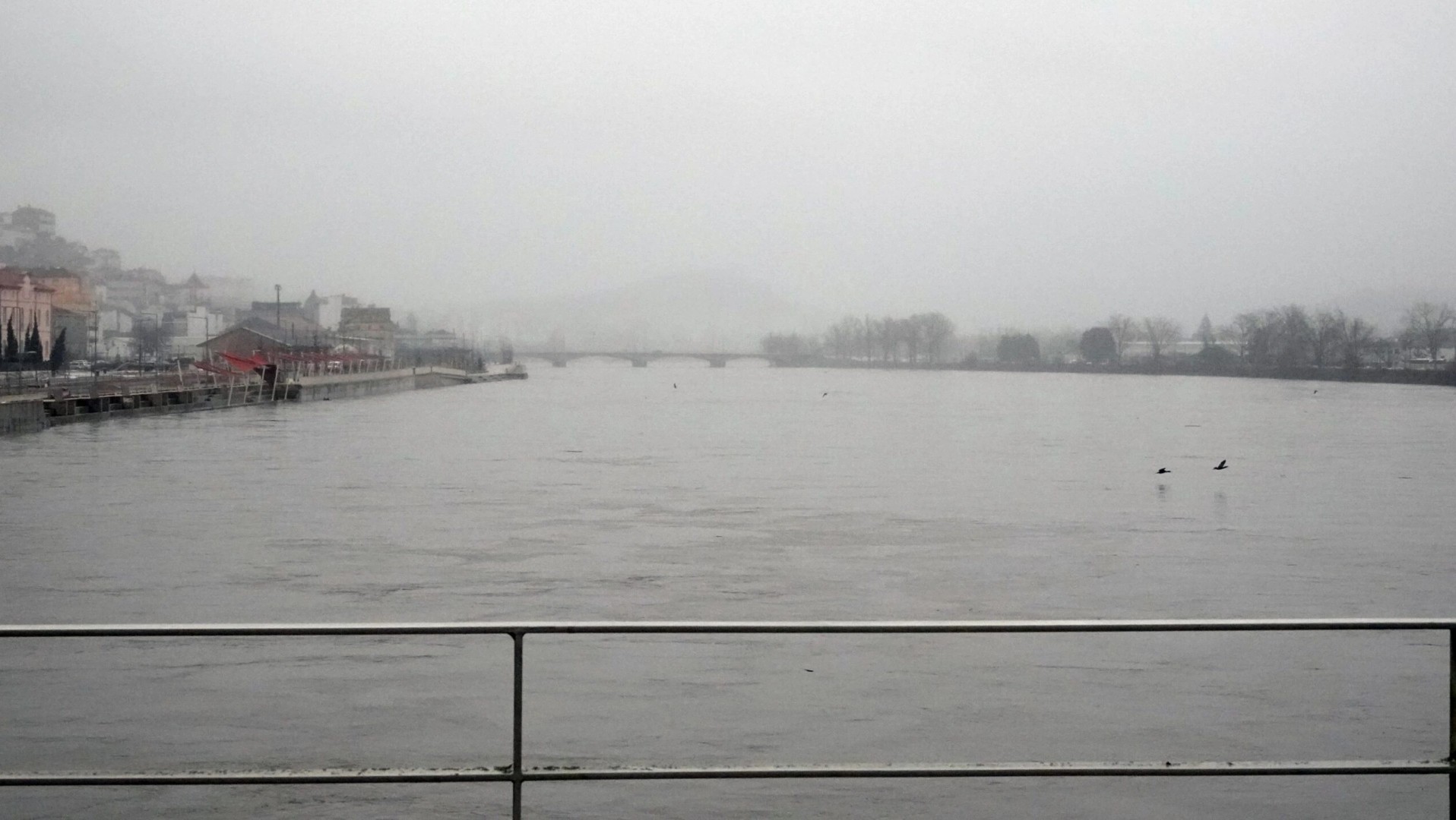 Caudal do Rio Mondego nas últimas 24 horas @CM Coimbra